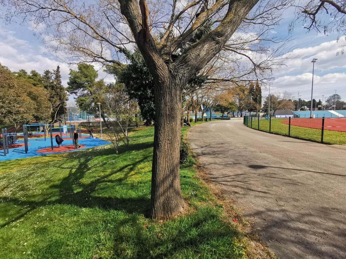 זאדאר Apartment Adriatic מראה חיצוני תמונה